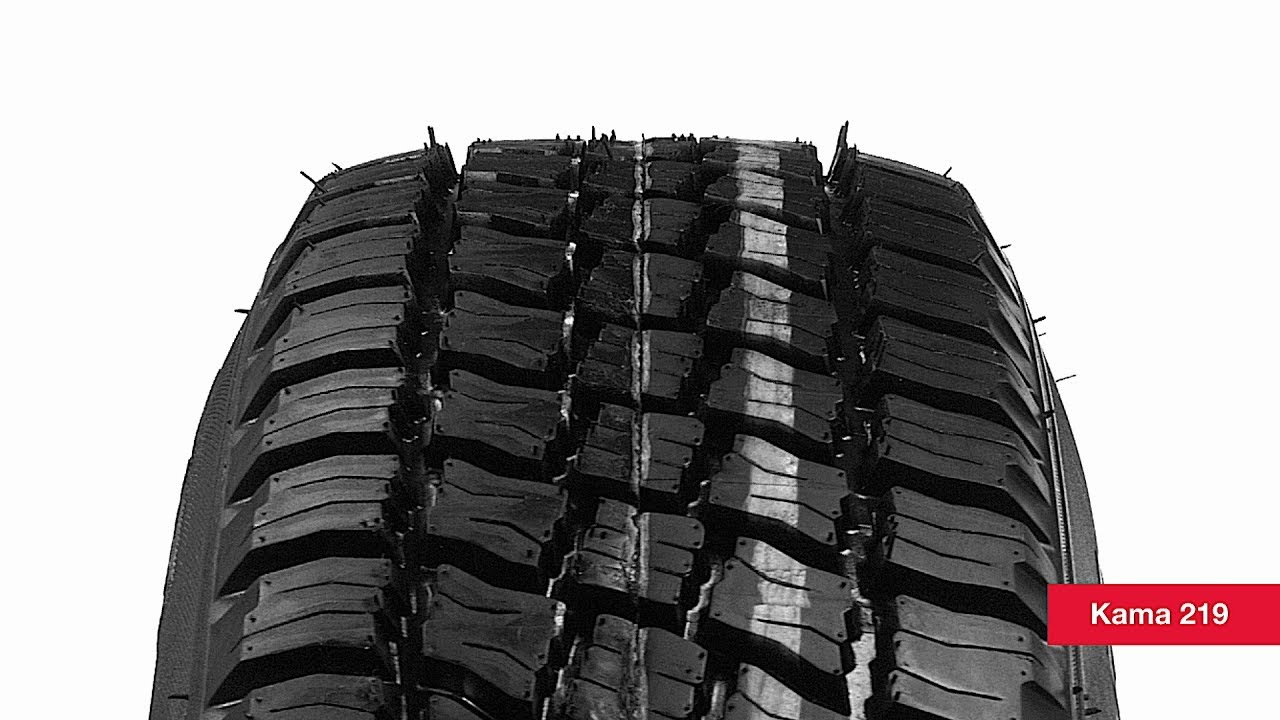 Кама Кама-219 (2)